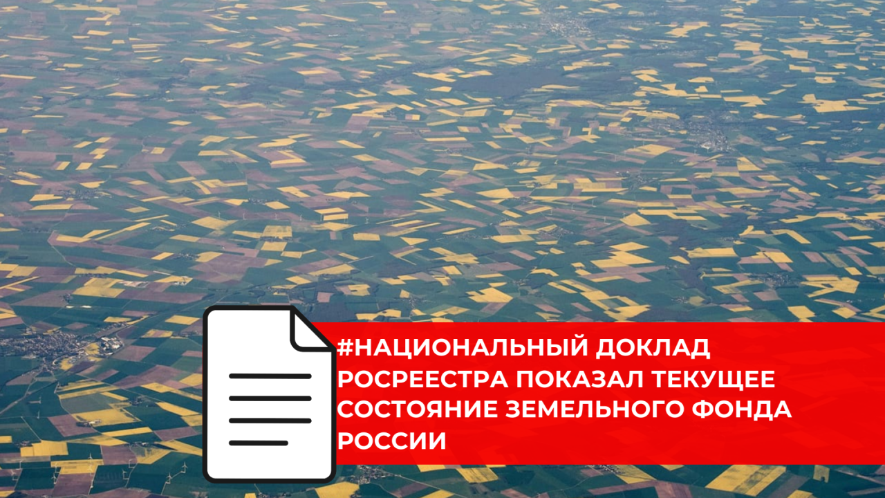 Росреестр подвёл итоги состояния земельного фонда России в 2024 году